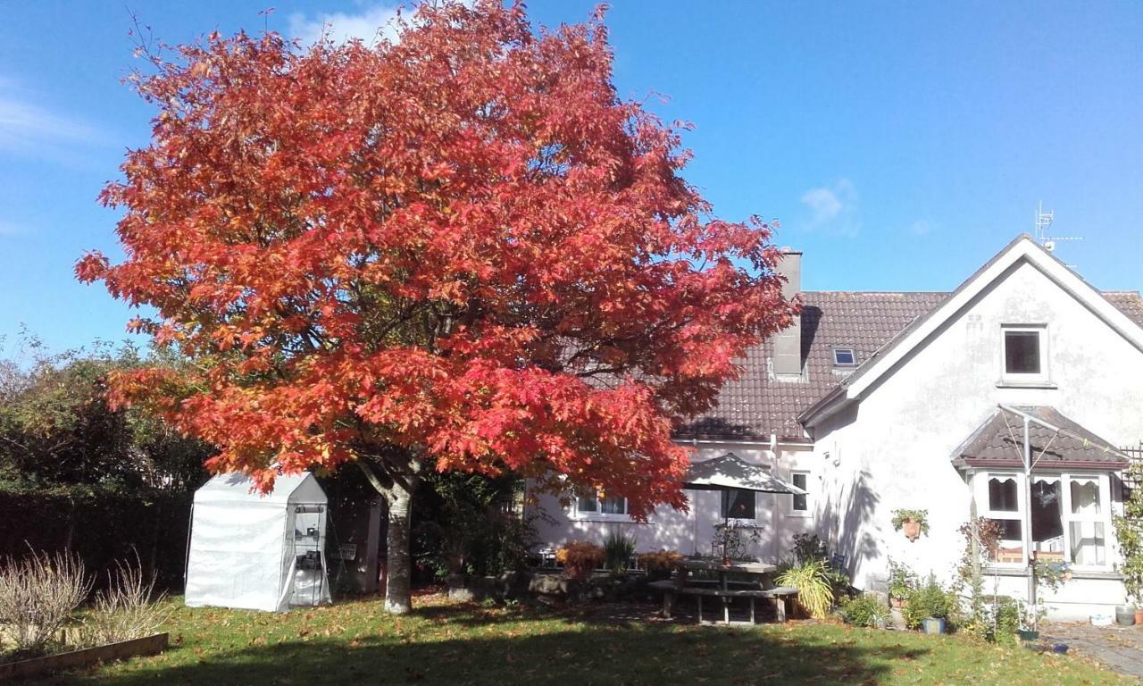 Twin Oaks Bed & Breakfast Kilkenny Exterior photo